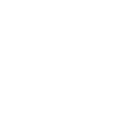 Dry Guyz Roofing & Restoration
